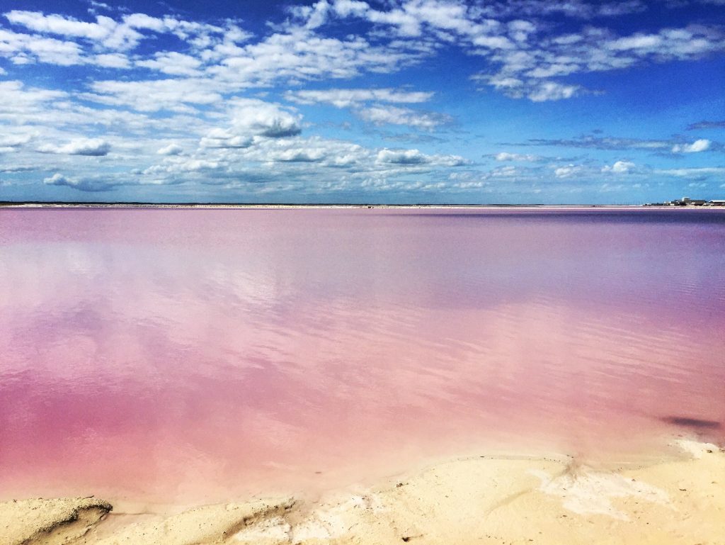 The pink lakes of Las Coloradas - In Las Coloradas they have the second largest salt factory in Mexico.