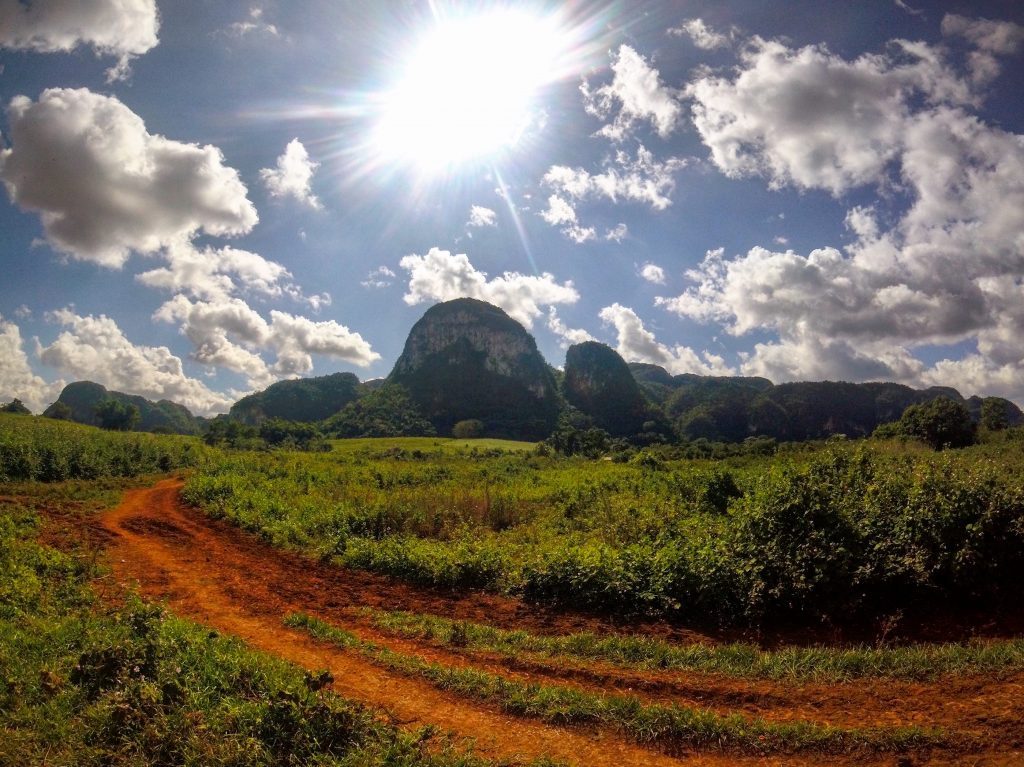 beautiful Valle de Viñales, bushes and mountains