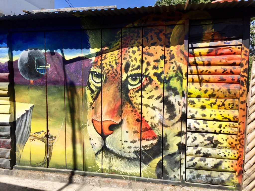 Walls of San Pedro La Laguna are full of colourful graffiti.