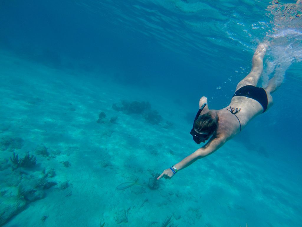 girl diving in the sea pointing at the fish